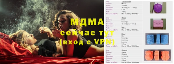 прущие грибы Горняк