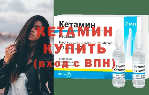 прущие грибы Горняк
