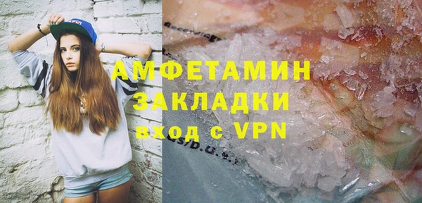 прущие грибы Горняк