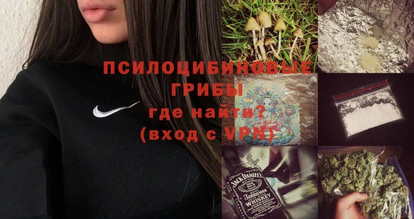 spice Горнозаводск
