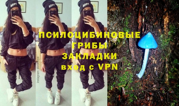 прущие грибы Горняк