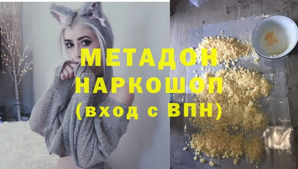 прущие грибы Горняк