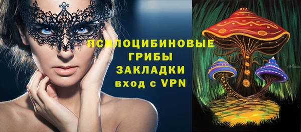 прущие грибы Горняк