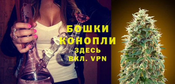 spice Горнозаводск