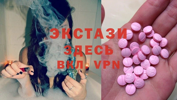 прущие грибы Горняк