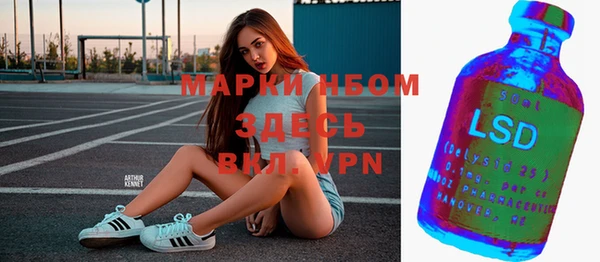 прущие грибы Горняк