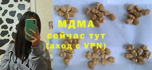 прущие грибы Горняк