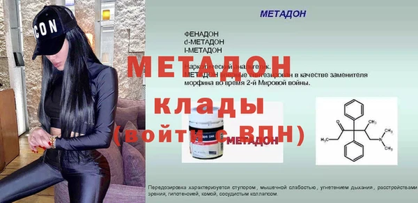 прущие грибы Горняк