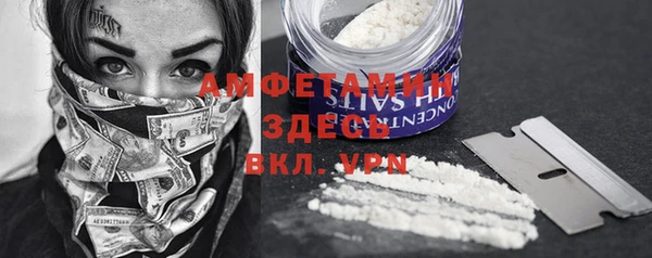 прущие грибы Горняк